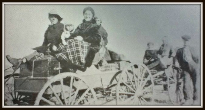 Bexfield Family in Buggy