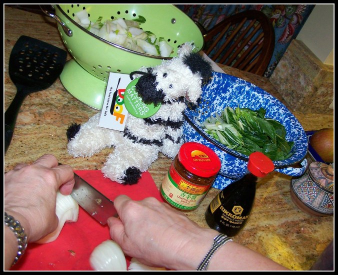 ZeBot & Sheila Learn to Chop