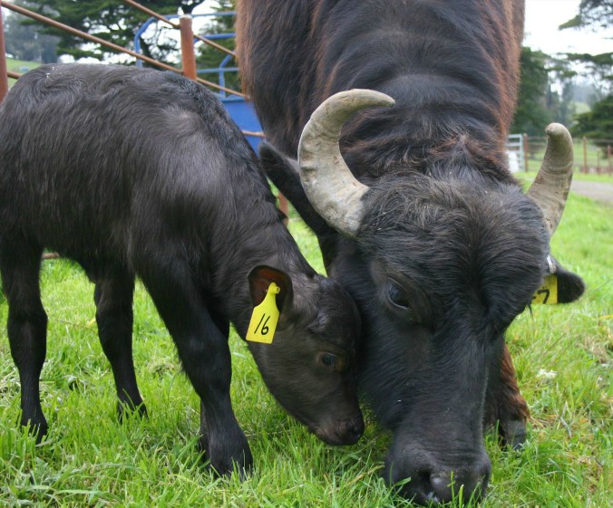 Mom & Daughter Dinner Time