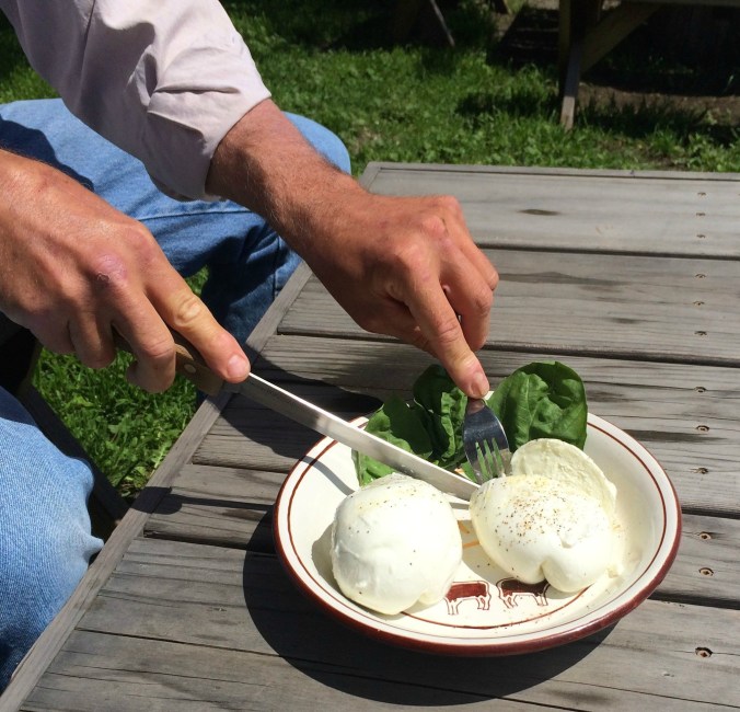 Serving Up Mozzarella