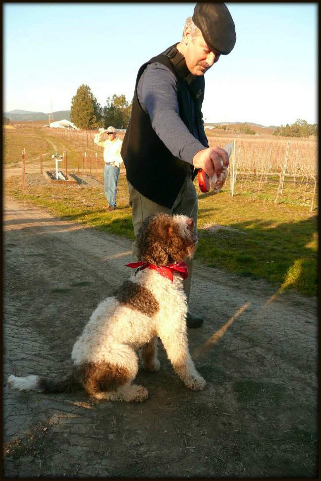 Rico at the Napa Truffle Festival